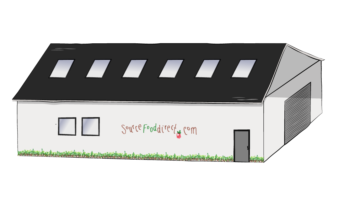 Project 08f